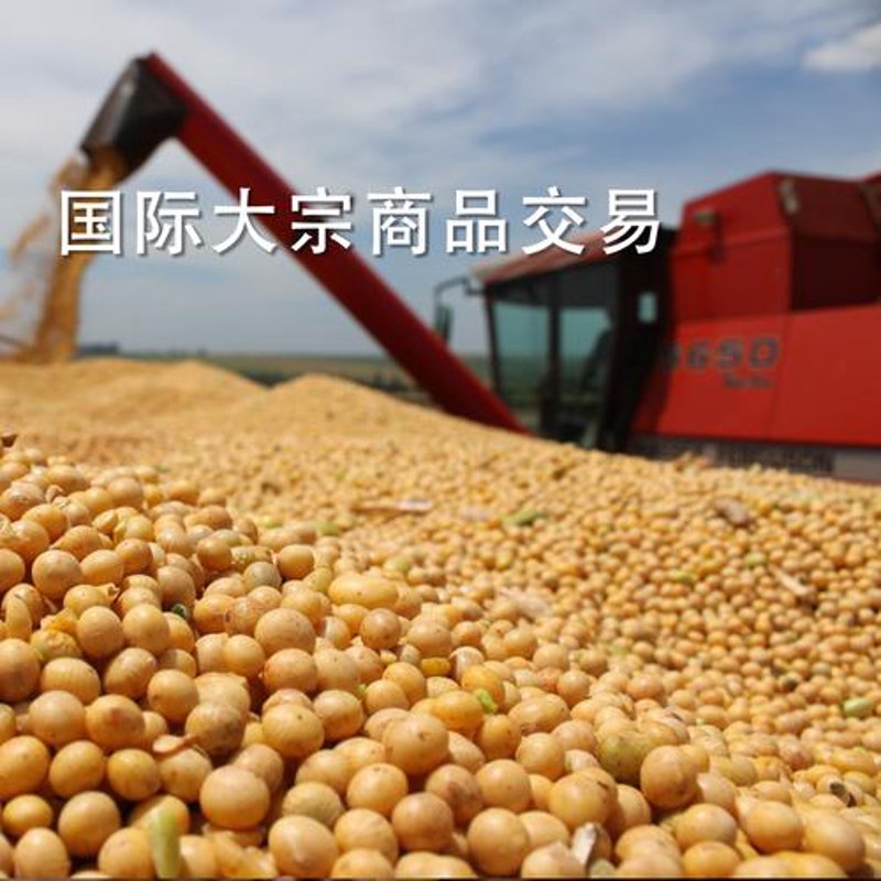 桂林贸易中心：现代商贸的繁荣窗口
